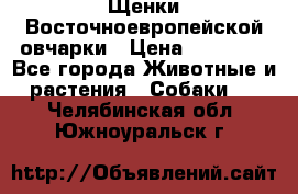 Щенки Восточноевропейской овчарки › Цена ­ 25 000 - Все города Животные и растения » Собаки   . Челябинская обл.,Южноуральск г.